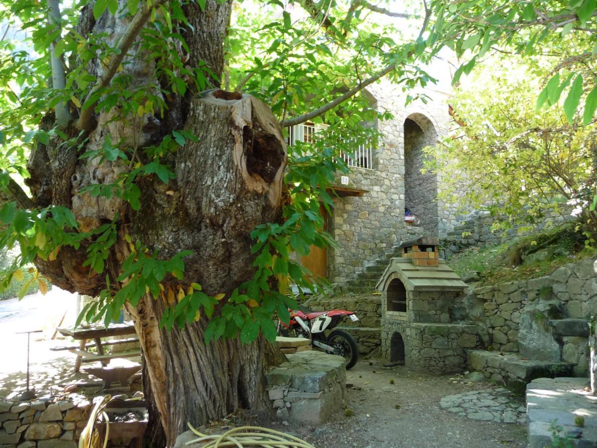 Chambre d'Hôte Chez Antoinette et Charles Santo-Pietro-di-Venaco Exterior foto