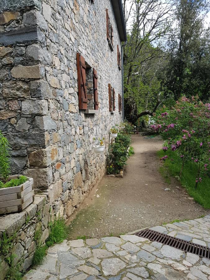 Chambre d'Hôte Chez Antoinette et Charles Santo-Pietro-di-Venaco Exterior foto